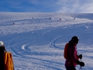five-skiers-on-glacier