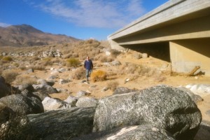 Revisiting Gratitude