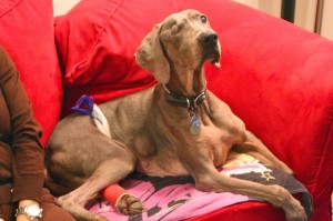 Life Lessons From Charlotte