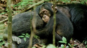 An Ironic Father-Son Story #IRL