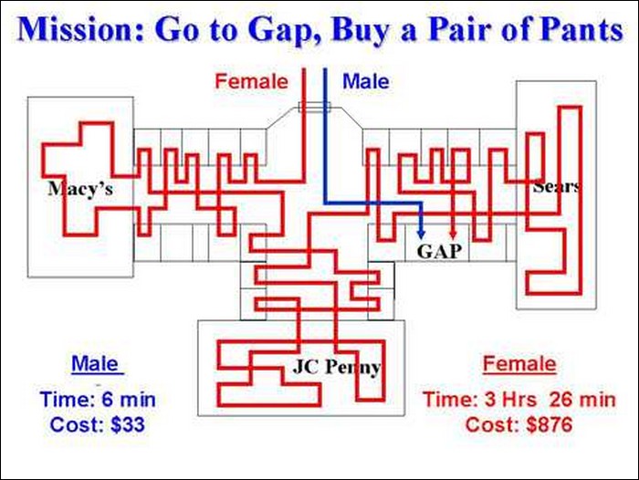 What is the Difference Between Male and Man