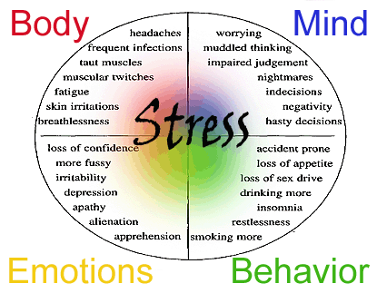 Stress symptoms infographic