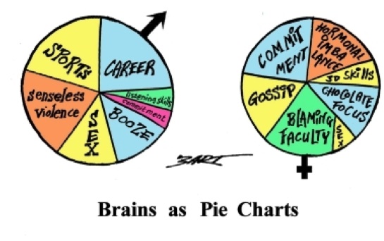 Male and Female brains