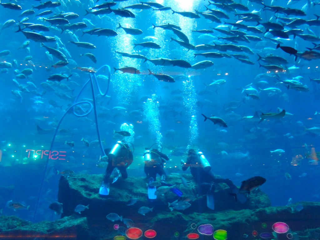 Aquarium with divers4 - good one