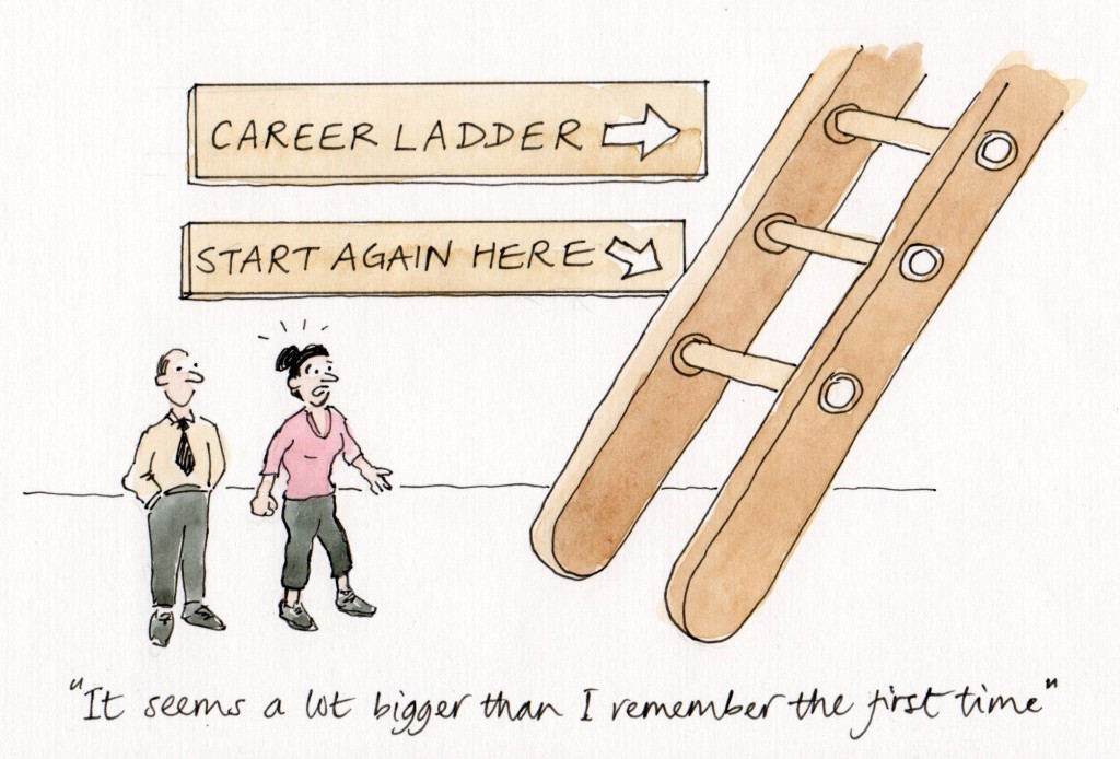 Career path