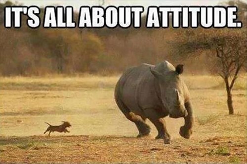 It's all about attitude