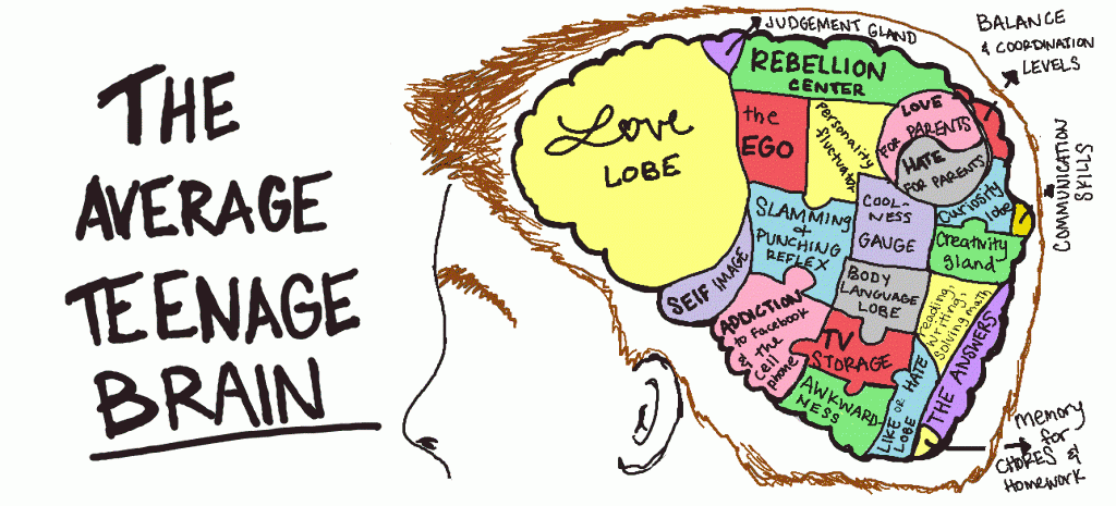 teenage-brain