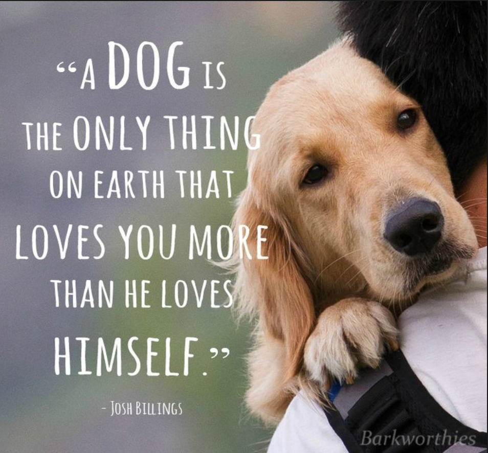 Dog Quotes About Unconditional Love. QuotesGram