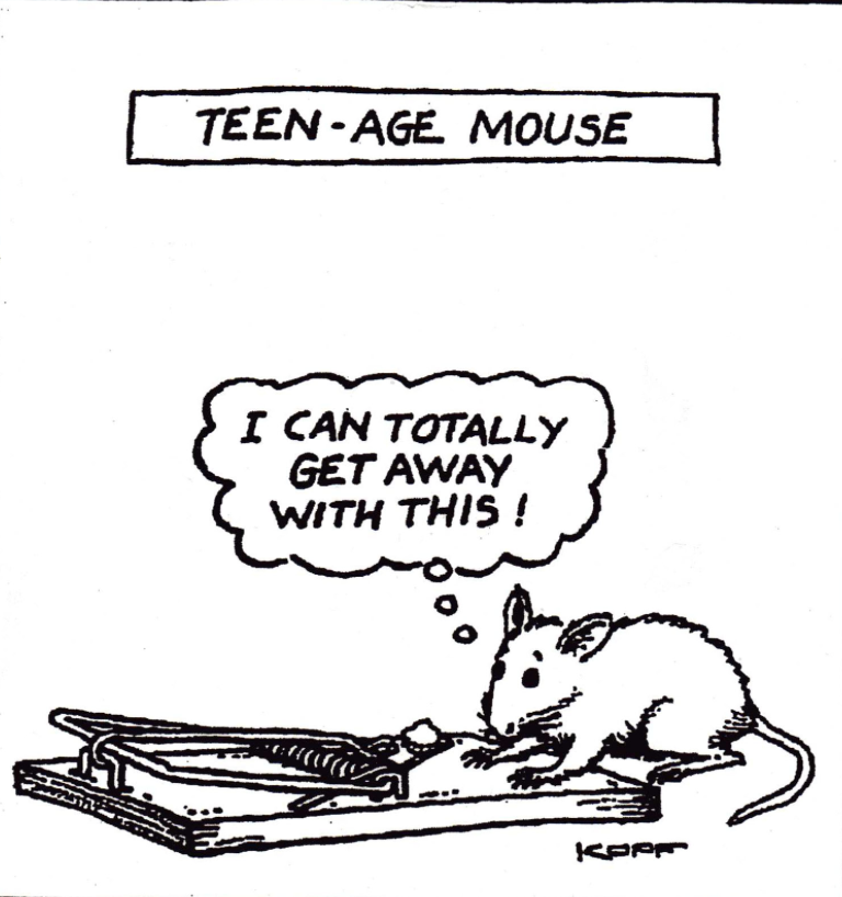 Teenage Mouse