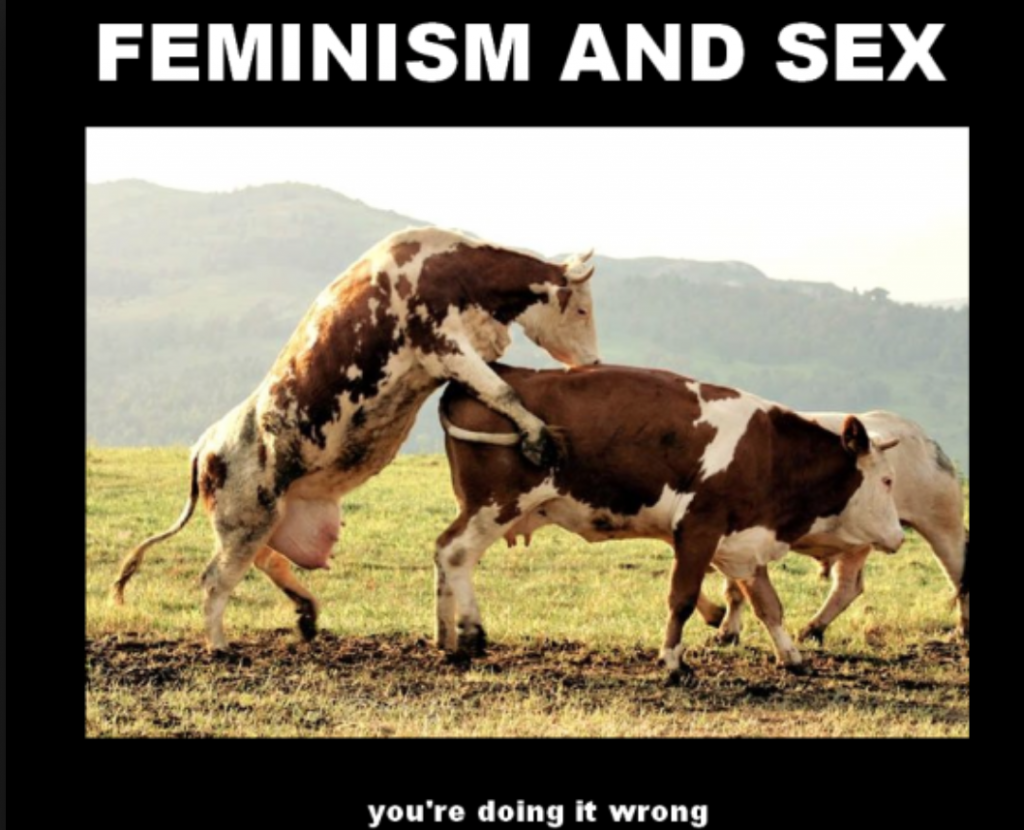 Feminism and Sex