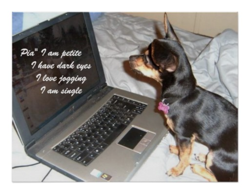 online puppy dating