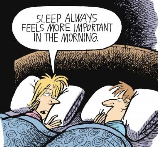 Sleep comic strip - humor