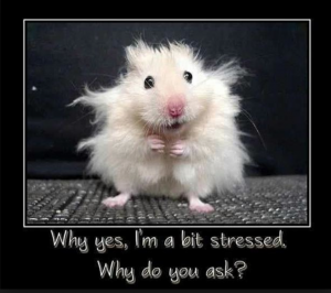 Stress #Stress Stress #DadChat