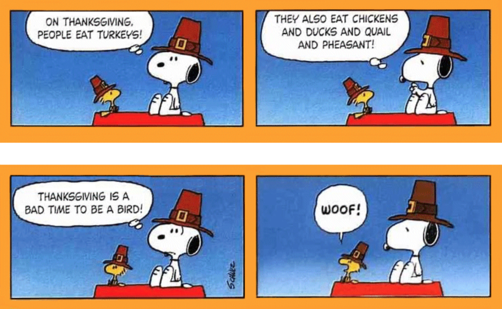 Peanuts Thanksgiving comic strip