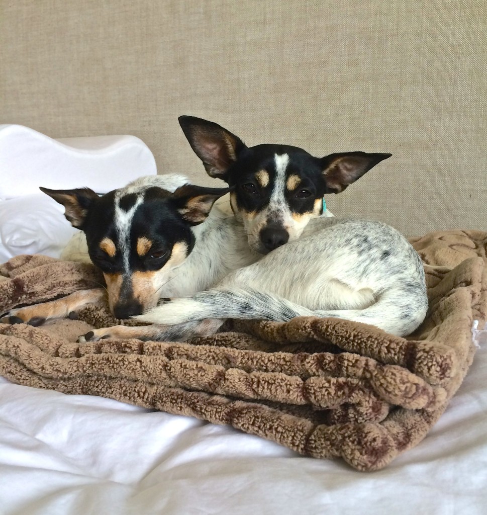 The girls on my bed