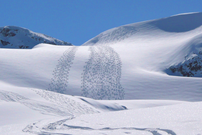 Heli-Skiing Tracks in the Snow