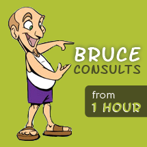 Bruce Consults