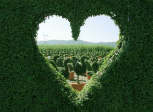 Valentine’s Day: Not a Review of The Five Love Languages