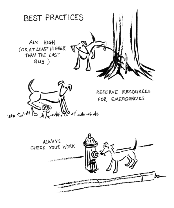 Dog pees comic about Best Practices