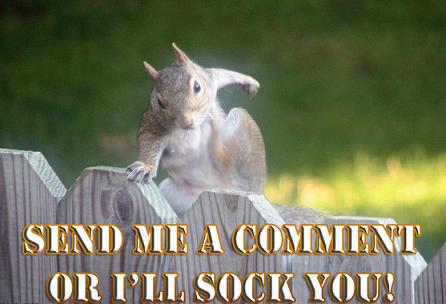 Funny animal comment photo