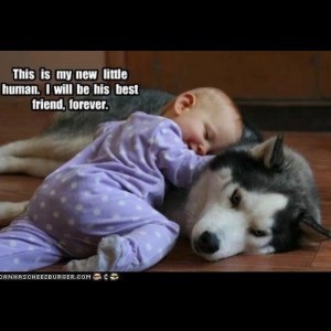 Sweet photo of baby and his dog