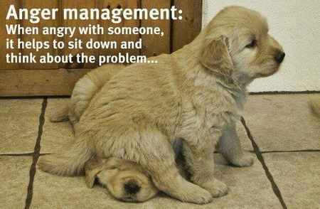 Funny anger management advice