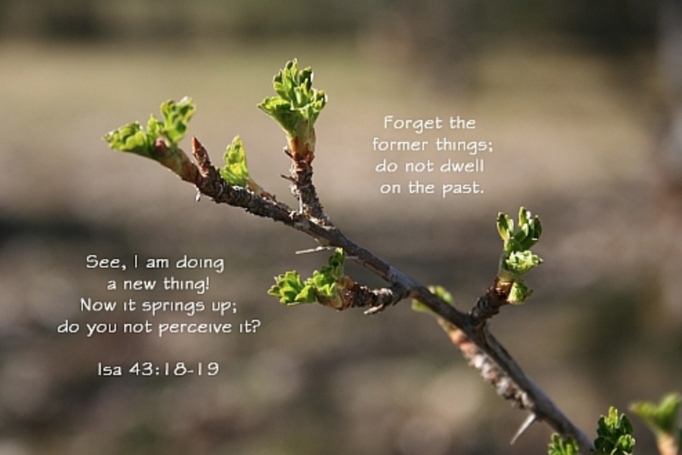 Bible quote about trying new things