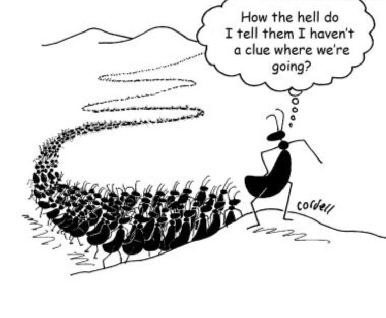 Leadership cartoon - #humor