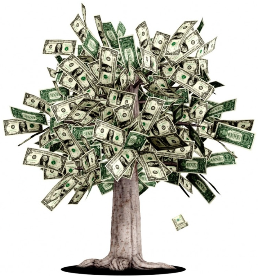 WE know that money does NOT grow on trees - do our kids? 