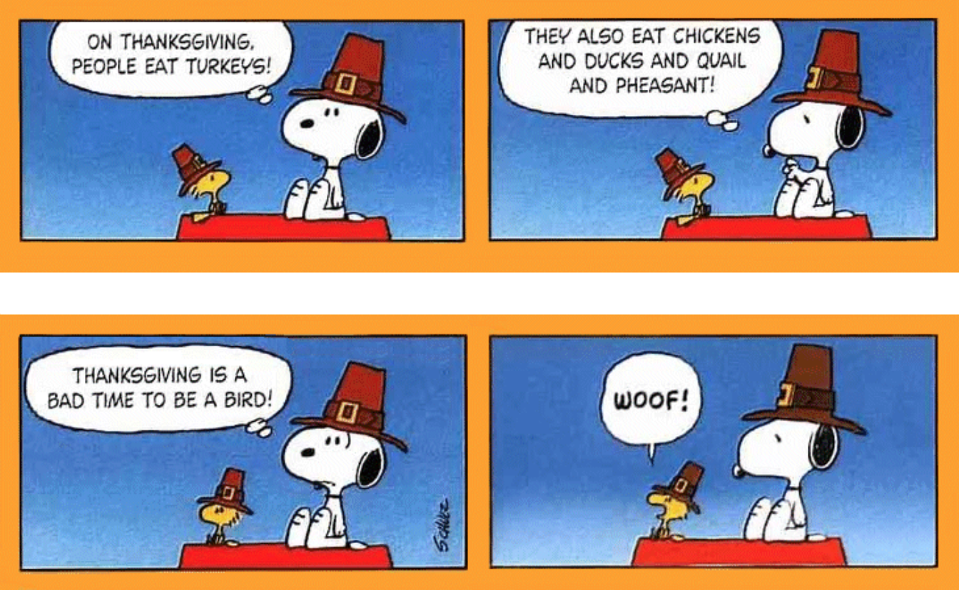 Peanuts Thanksgiving comic strip.